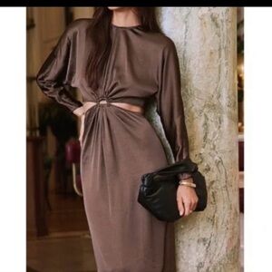 Express Long Sleeve Brown Satin Dress